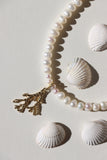 Reef Pearl