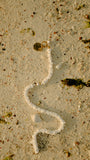 Shell spell