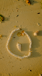 Shell spell